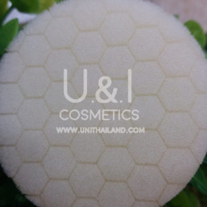 ฟองน้ำคุชชั่น